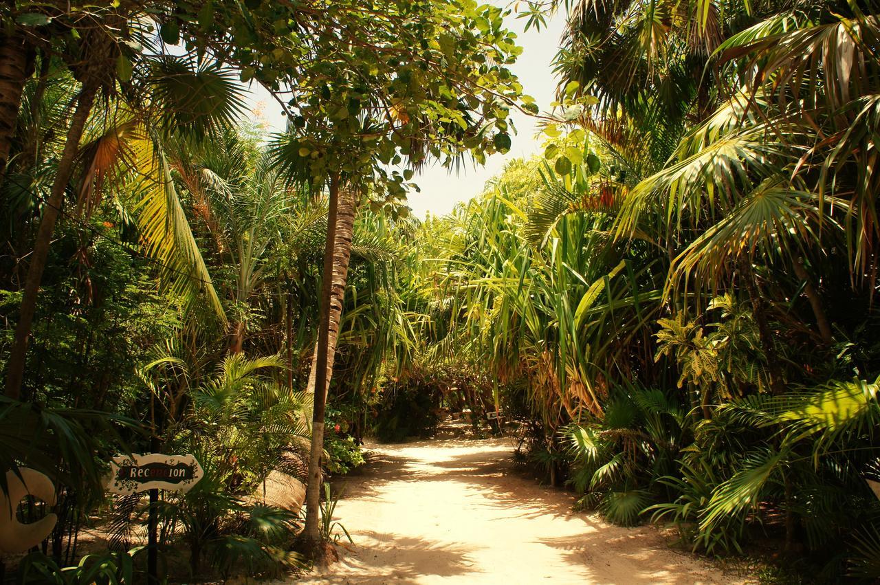 Cabanas La Luna Tulum Exterior photo